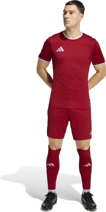 Actual product image Adidas Entrada T-Shirt (XL)