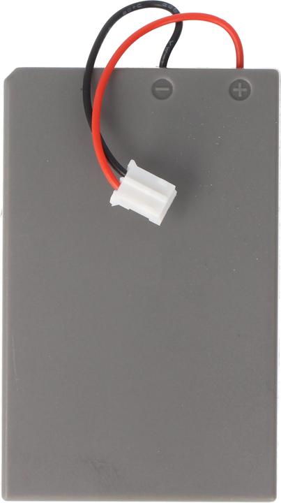 Actual product image Sony Akku (1 pcs., Device specific, 700 mAh)