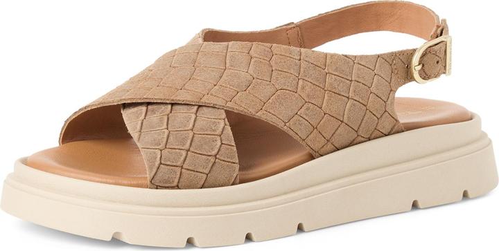 brown strcture, BROWN STRUCT.