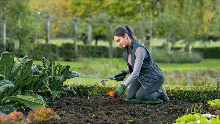 Produktbild Bosch Professional Handrechen