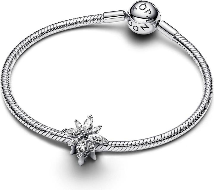 Immagine prodotto Pandora Bracciale (Argento 925)