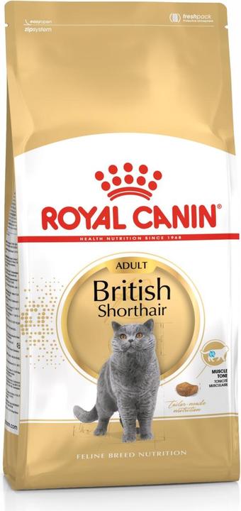 Royal Canin British Shorthair (Adulto, 1 pz., 4000 g)