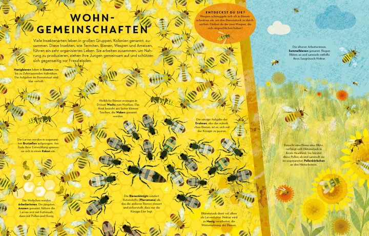 Produktbild Sechs Beine oder mehr – Die Wunderwelt der Insekten und Spinnen (Deutsch, Britta Teckentrup, 2020)