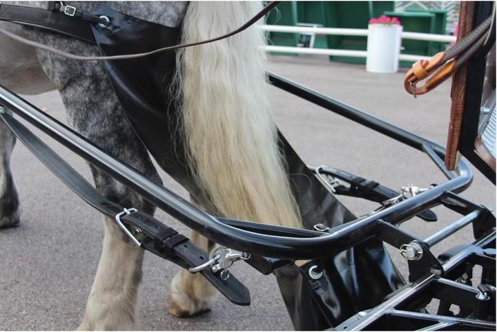 Produktbild Equip Horse Auffangsack Pferdeäpfel