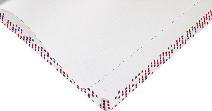 Actual product image Nuuna Graphic L, Megapixel (A5, Dotted, Soft cover)