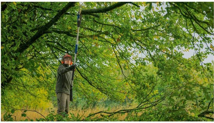 Produktbild Bosch Professional Bosch Hochentaster GKE 18V-25 TP (solo)