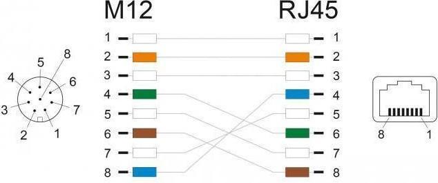 Produktbild Delock M12 Adapterkabel A-kodiert 8 Pin Buchse zu RJ45 Buchse 50 cm (CAT6a, 0.50 m)