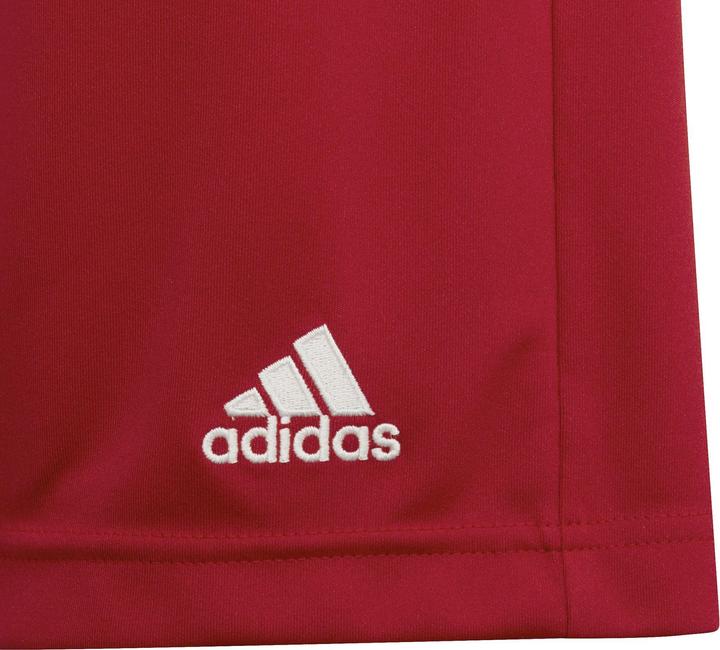 Actual product image adidas Entrada 22 Shorts (152)