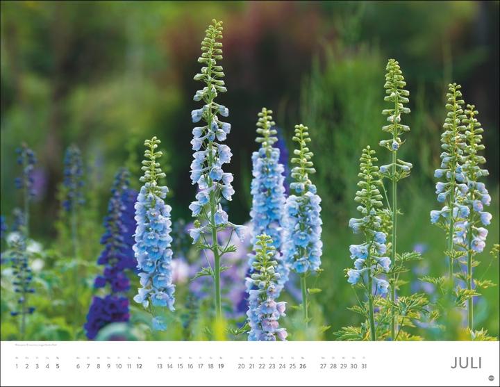 Immagine prodotto Blütenmeer Posterkalender 2026 (44 x 34 cm)