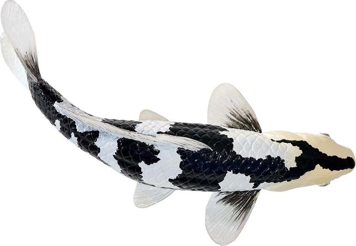 Produktbild Mojo Sealife Koi-Karpfen – Shiro Utsuri Koi – 381102