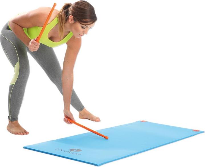 Actual product image Sveltus ® Fit Sticks