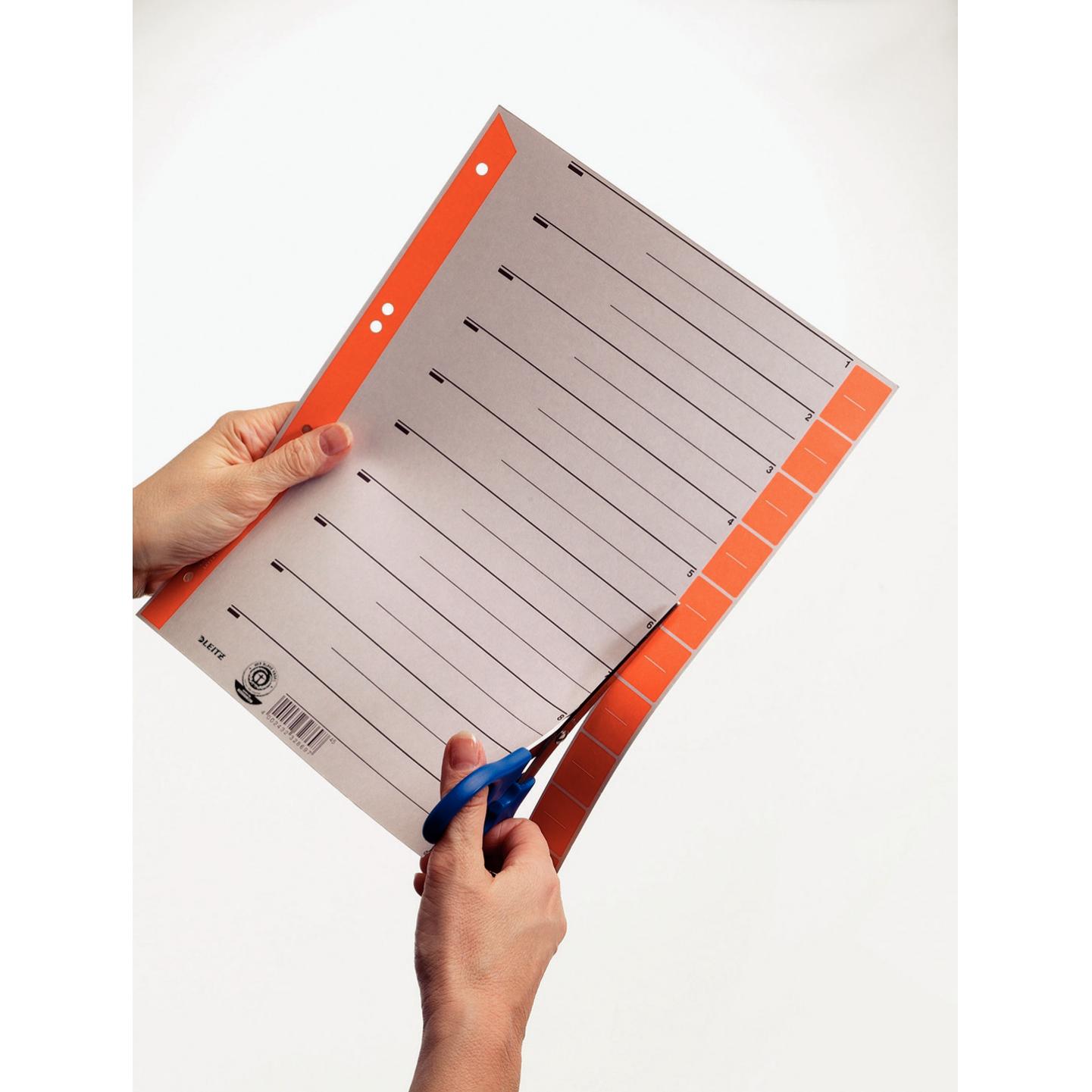 Thumbnail - Leitz, Ordner Zubehör, Trennblätter, A4 Überbreite, Kraftkarton 230g/qm, blau aus grauem Karton mit hellblauen Taben