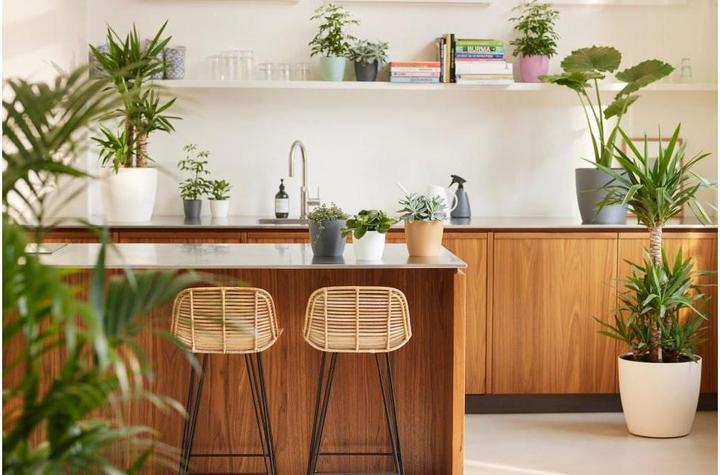 Produktbild Elho Brussels (10 x 10 cm)