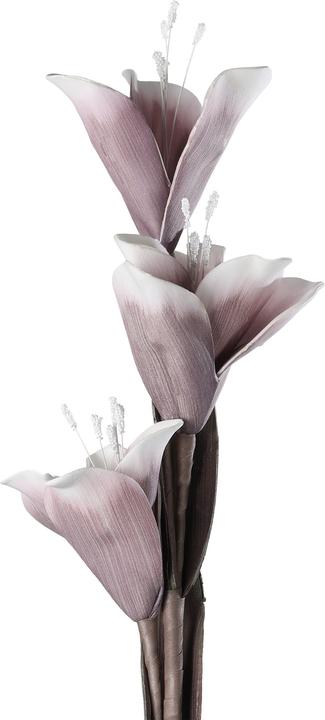 Immagine prodotto EGLO LIVING Molave (85 cm)