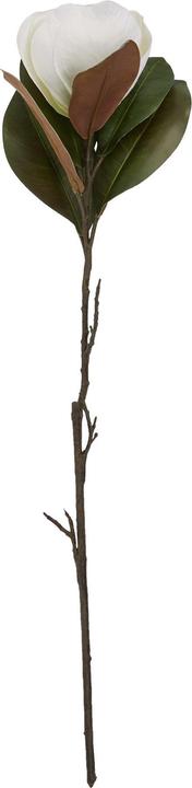 Image du produit Hill Interiors - Fleur artificielle MAGNOLIA (78 cm)