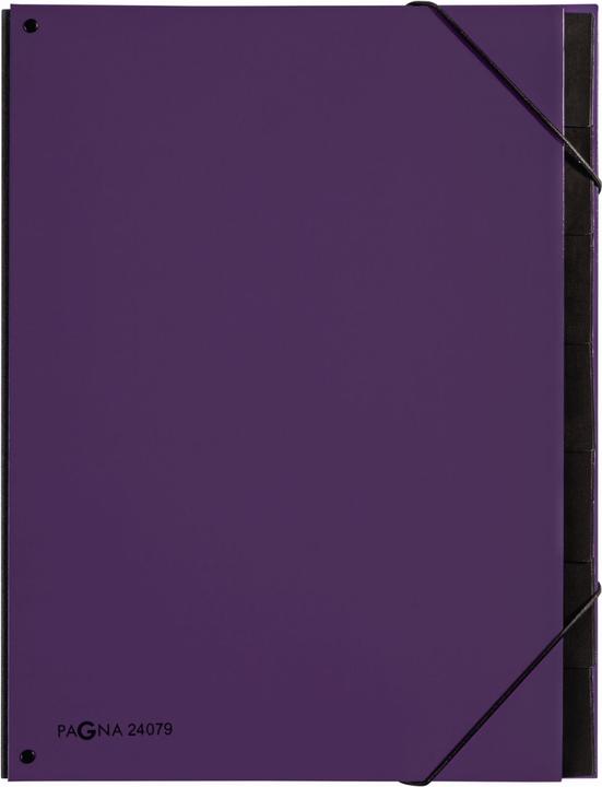 Actual product image Pagna Desk folder A4 Trend Purple, 7 compartments (A4, 1 x)