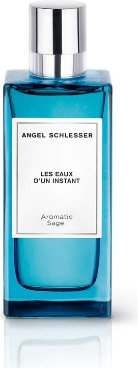 Actual product image Angel Schlesser Instant Aromatic Sage EDT 100ml (Eau de toilette, 100 ml)