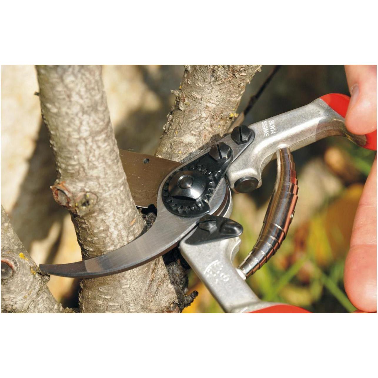 Thumbnail - Felco, Gartenschere, Gartenschere 13