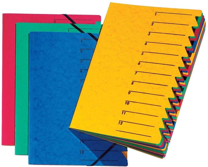 Image du produit Pagna Classeur Easy 12 compartiments 1-12 assortis (A4, 1 x)