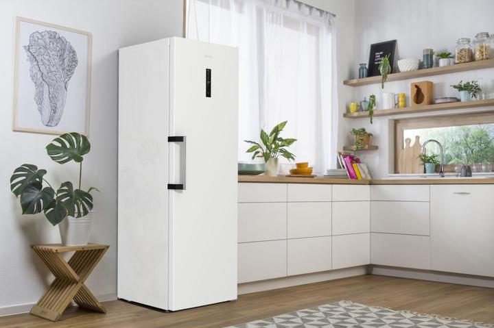 Produktbild Gorenje R619EAW6 (398 l)