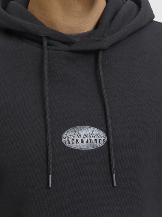 Produktbild Jack & Jones Jjedetroit Sweat Hood Styd Aw25 (S)