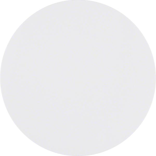 Actual product image Berker 85145139