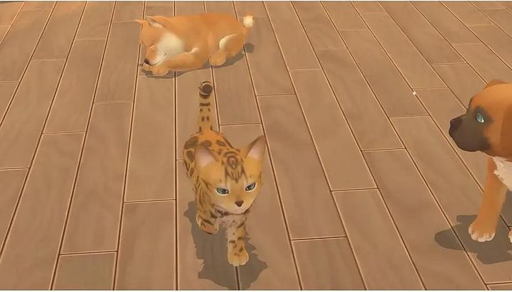 Produktbild Microids My Universe Hunde und Katzenbabys (Switch, DE)