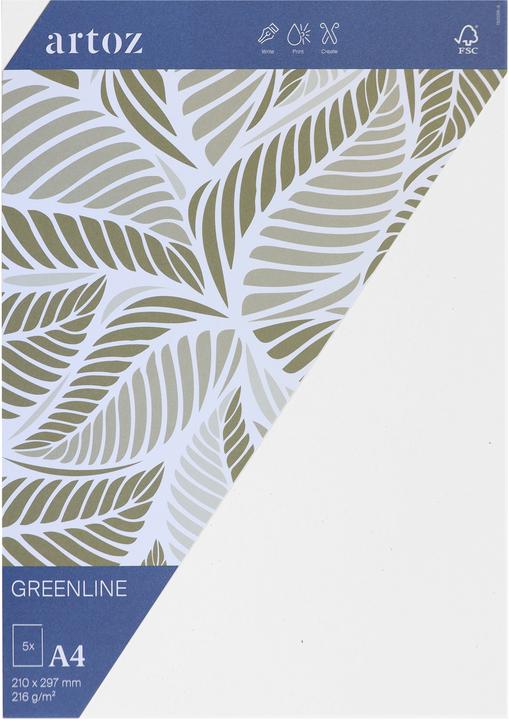 Produktbild Artoz Green Line Pkg 5 Karten A4 birch (A4, 216 g/m²)