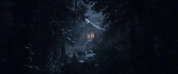 Image du produit Sony Until Dawn (PS5, EN, FR, IT, DE)