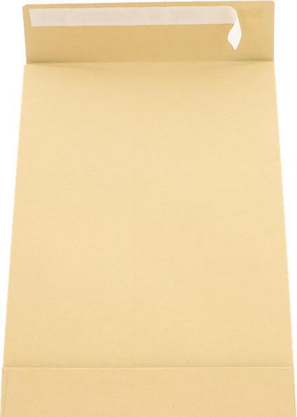 Actual product image kaiserkraft Envelope for DIN A4 (C4, 100 x)
