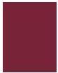 Actual product image Sisley Phyto Rouge Shine No 22 (22 Sheer Raspberry)