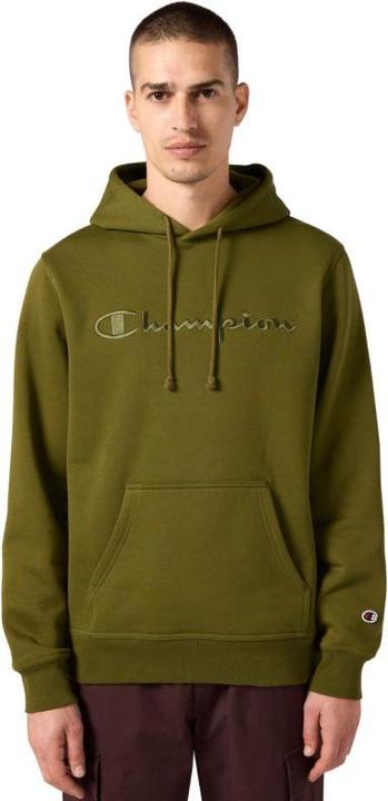 Actual product image Champion Hooded Sweatshirt (L)