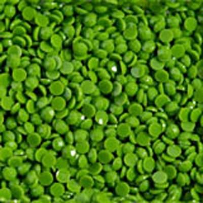 Grenouille Vert