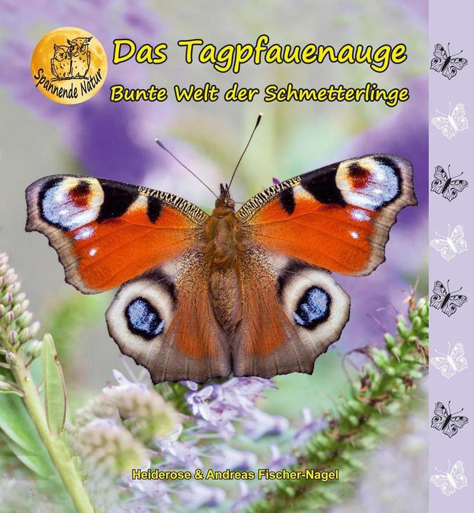 Produktbild Bunte Welt der Schmetterlinge (Deutsch, Andreas Fischer-Nagel, 2010)