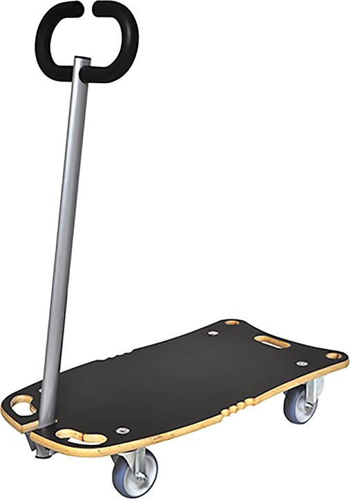 Wagner System Star Carrier (300 kg)