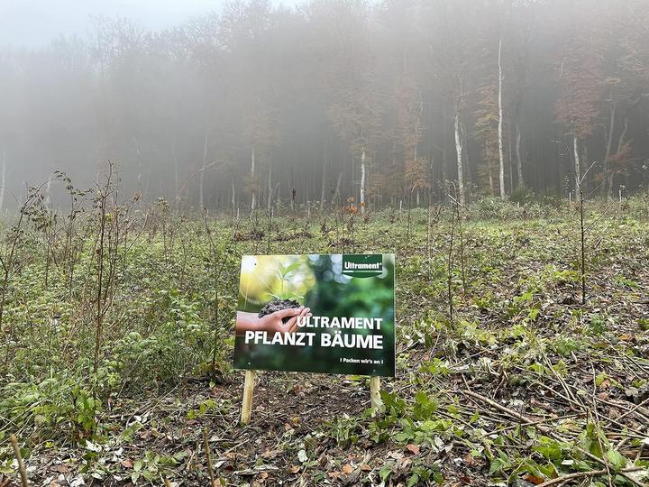 Actual product image Ultrament Haftgrund Eco, Haftvermittler, für Innen, 500 ml