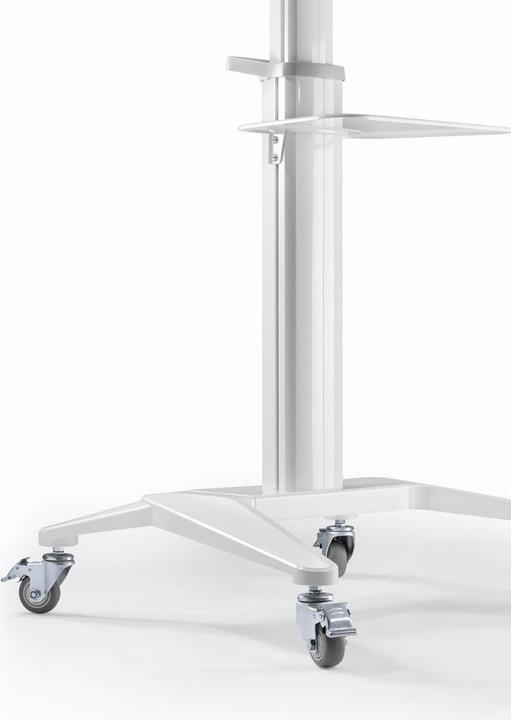 Productafbeelding Gembird Aluminium TV-vloerstandaard (70 kg, 37" - 70")