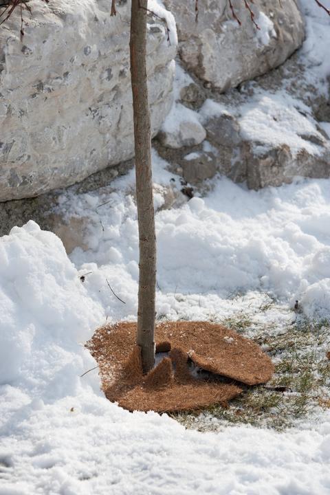 Produktbild Windhager Mulchscheibe Cocodisc