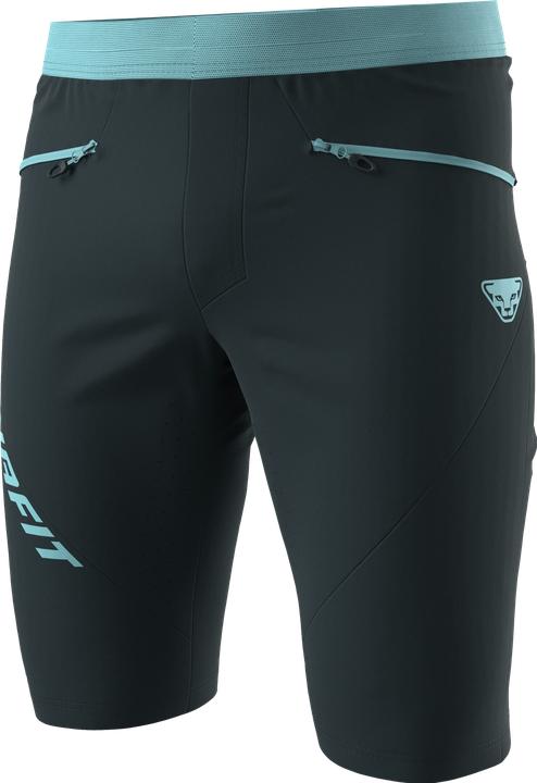 Actual product image Dynafit Traverse Dynastretch Shorts (S)
