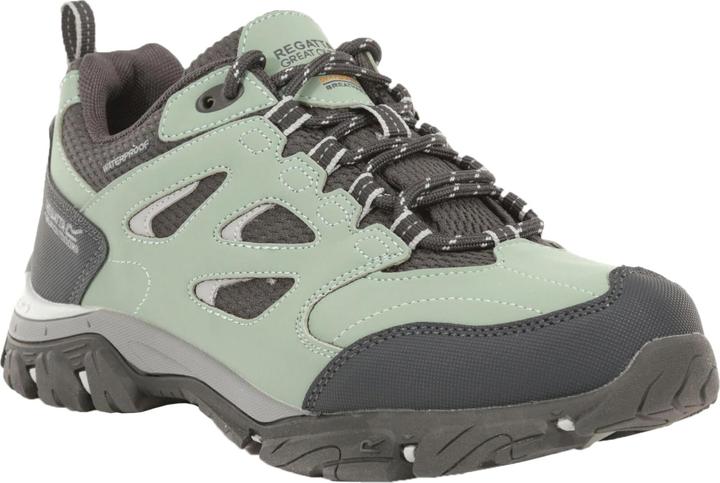 Actual product image Regatta Hiking Boots Holcombe Iep Low (41)