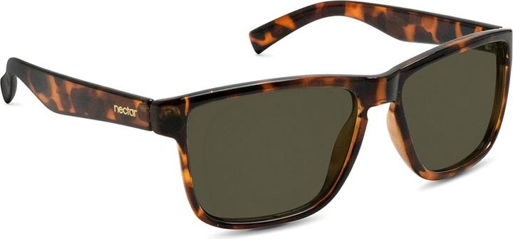 Glossy Brown Tortoise