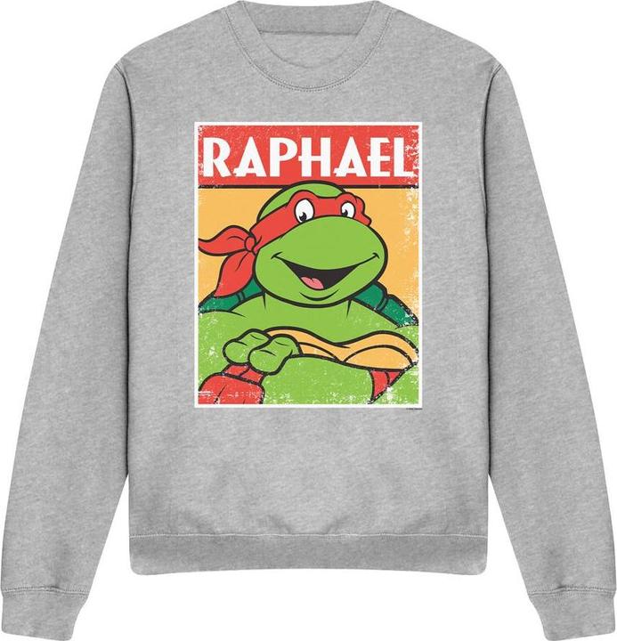 Actual product image Teenage Mutant NT Unisex Adult Raphael Sweatshirt (S)