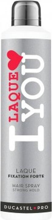 Image du produit Ducastel Pro Laque Professionnelle (300 ml)
