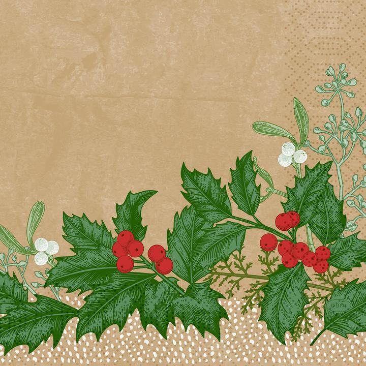 Produktbild Duni Servietten (50 Stk., 33 x 33 cm)