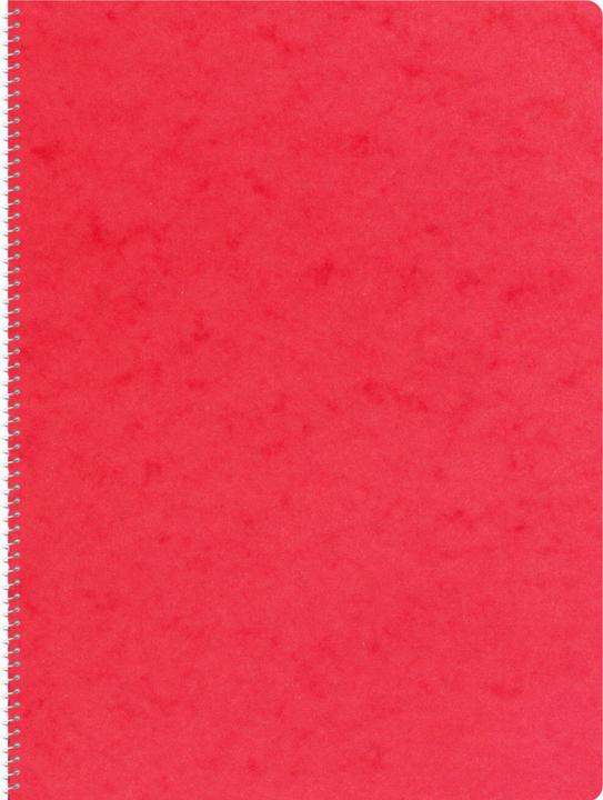Produktbild Novooo Spiralheft assortiert (A4, Kariert, Weicher Einband)