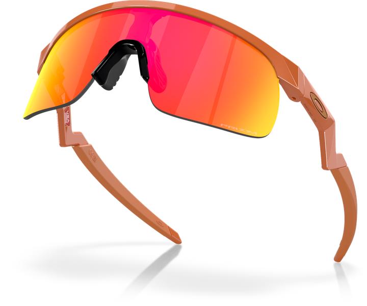 Actual product image Oakley Resistor (Mat Ginger, prizm ruby)