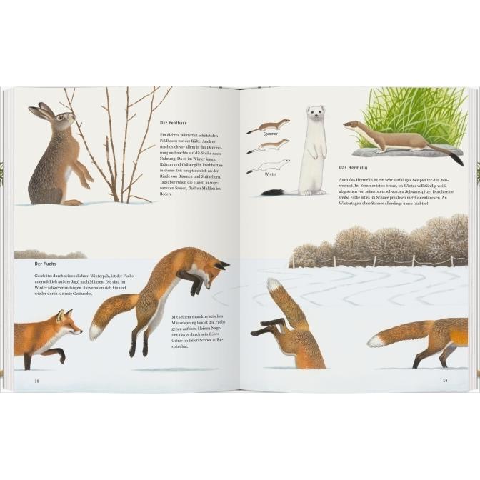 Thumbnail - Schneehuhn, Reh und Haselmaus, Kinderbücher von Thomas Müller