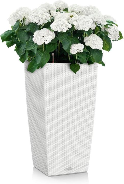 Immagine prodotto Lechuza Cubico Cottage (39.50 cm)