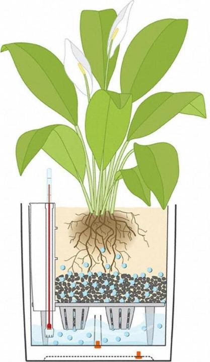 Produktbild Lechuza Cube (29.50 x 29.50 x 30 cm)