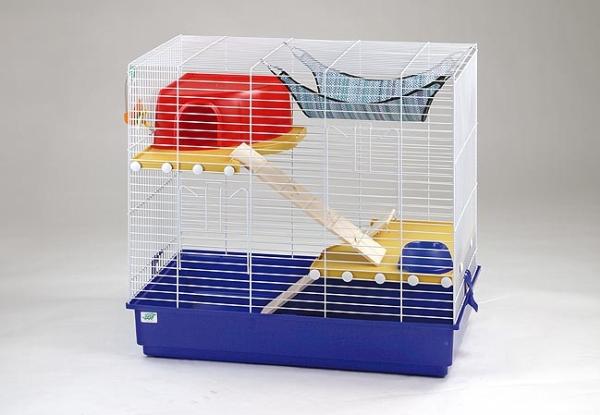 All for Paws AFP Natural Instinct - Catnip Birds